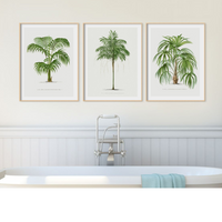 Set of  Three Vintage Palm Tree Prints - Unframed