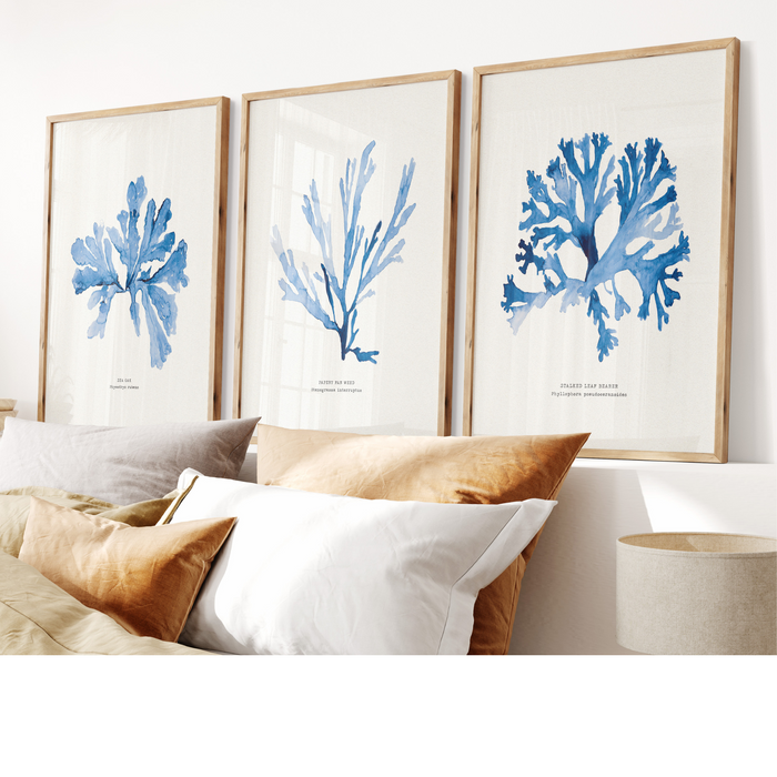 Set of 3 Indigo Seaweed Paintings - Unframed Beach House Art set of blue abstract line art prints