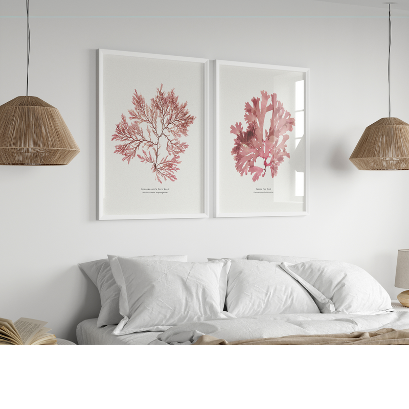 set of two red seaweed prints above a bed with boho lights - seaweed art prints