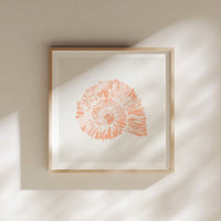 Set of Three Peach Coral and Shells Prints in  Peach - Unframed