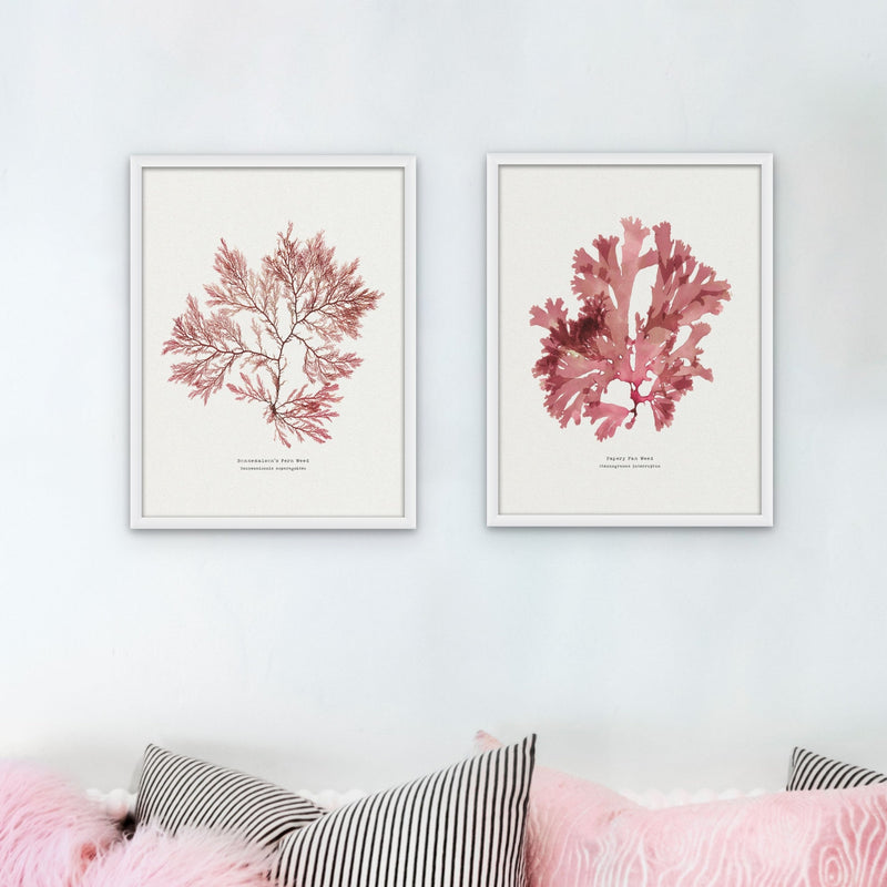 set of two red seaweed prints above a bed with boho lights - seaweed art prints