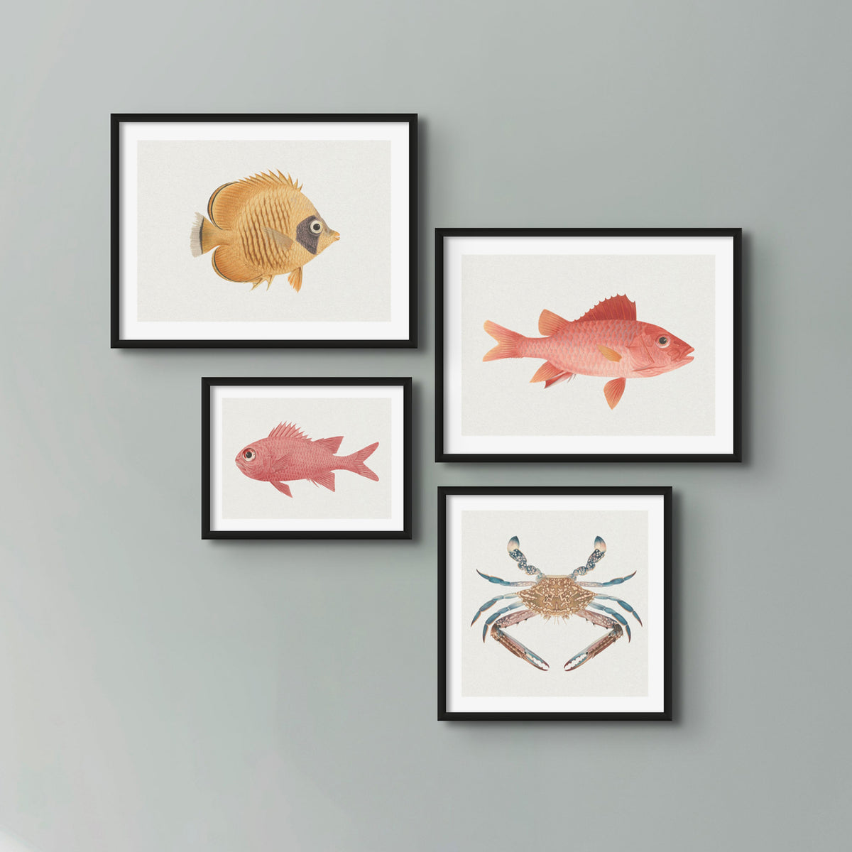 Vintage Crab Painting | Shellfish Wall Art Print - Unframed