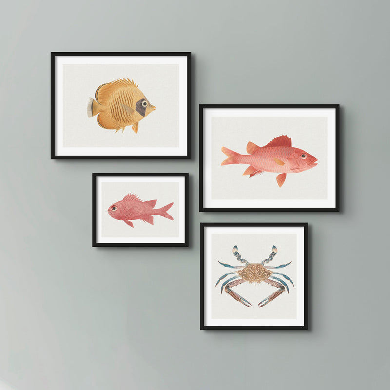 Vintage Crab Painting | Shellfish Wall Art Print - Unframed