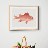 Vintage Fish Painting No. 1 | Fish Wall Art Print - Framed