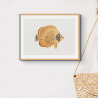 Vintage Fish Painting No. 2 | Fish Wall Art  - Framed