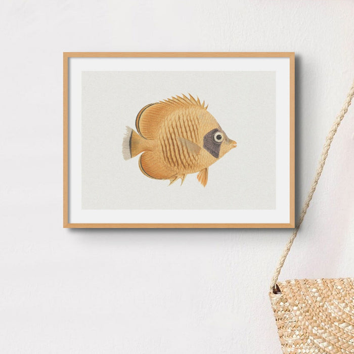 Vintage Fish Painting No. 2 | Fish Wall Art Print - Unframed