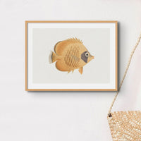 Vintage Fish Painting No. 2 | Fish Wall Art Print - Unframed