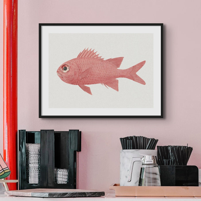 Vintage Fish Painting No. 3 | Fish Wall Art  - Unframed