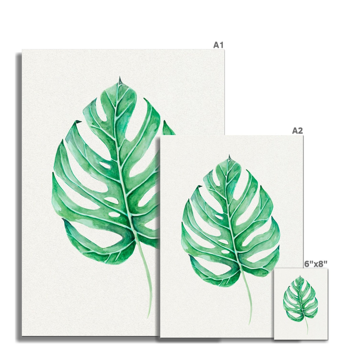 Monstera Leaf Artwork No 3 | Green Botanical  Wall Art - Unframed