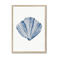 Watercolour Shell Art | Blue Fan Shell Print  - Framed