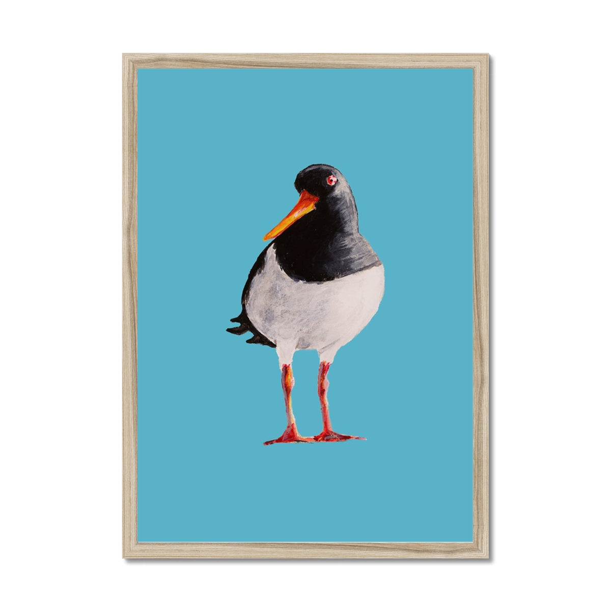 Oyster Catcher Bird Painting | Bird Art Print - Framed