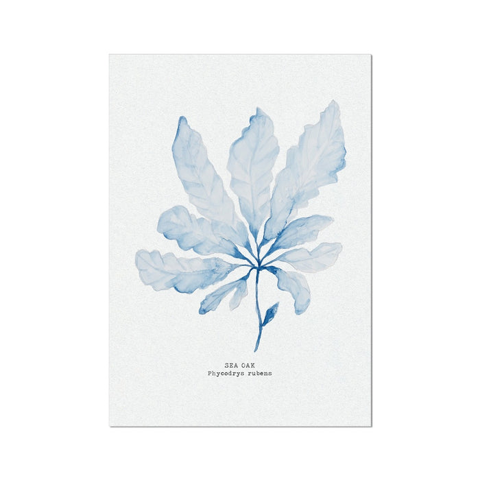 Blue Watercolour Seaweed Art Print | Sea Oak Seaweed Painting  - Unframed