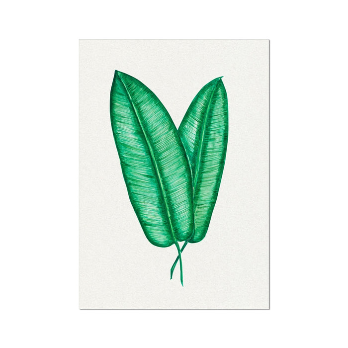 Tropical Leaf Artwork No 1 | Green Botanical Wall Art - Unframed