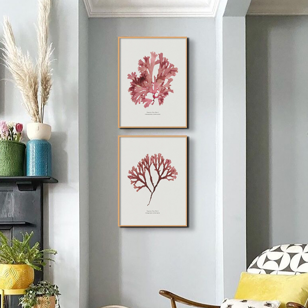 Seaweed Print | Handcrafted Pressed Seaweed (Fan Weed No1) - Framed