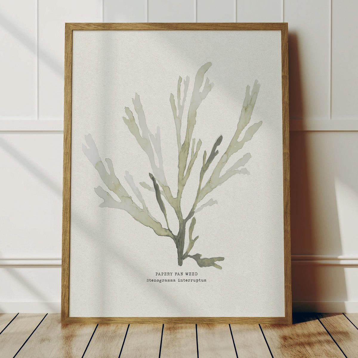 Set of Three Green Seaweed Prints - Framed