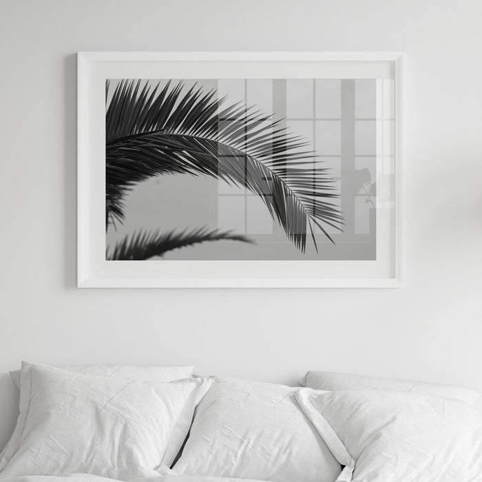 Palm leaf Photography Print | Black & White Palm Tree Photograph - Unframed