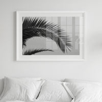 Palm leaf Print | Black & White Palm Tree Photograph - Unframed