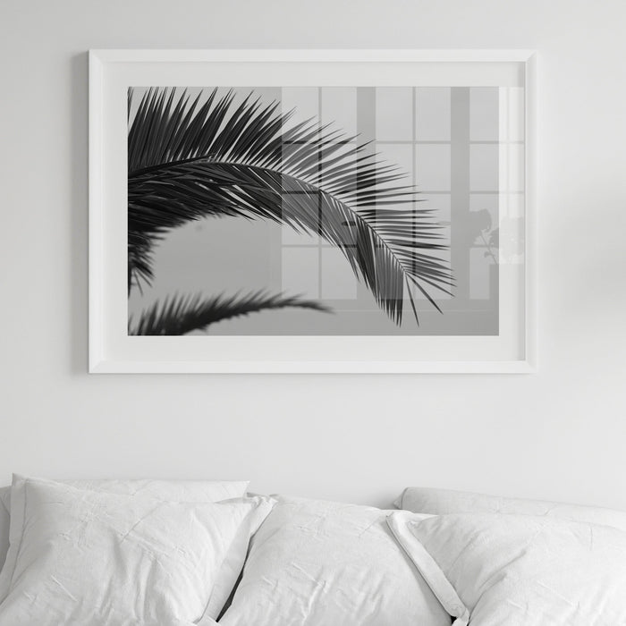 Palm Leaf Photography Print | Black & White Palm Tree Photograph - Framed