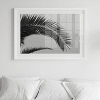 Palm Leaf Print | Black & White Palm Tree Photograph - Framed