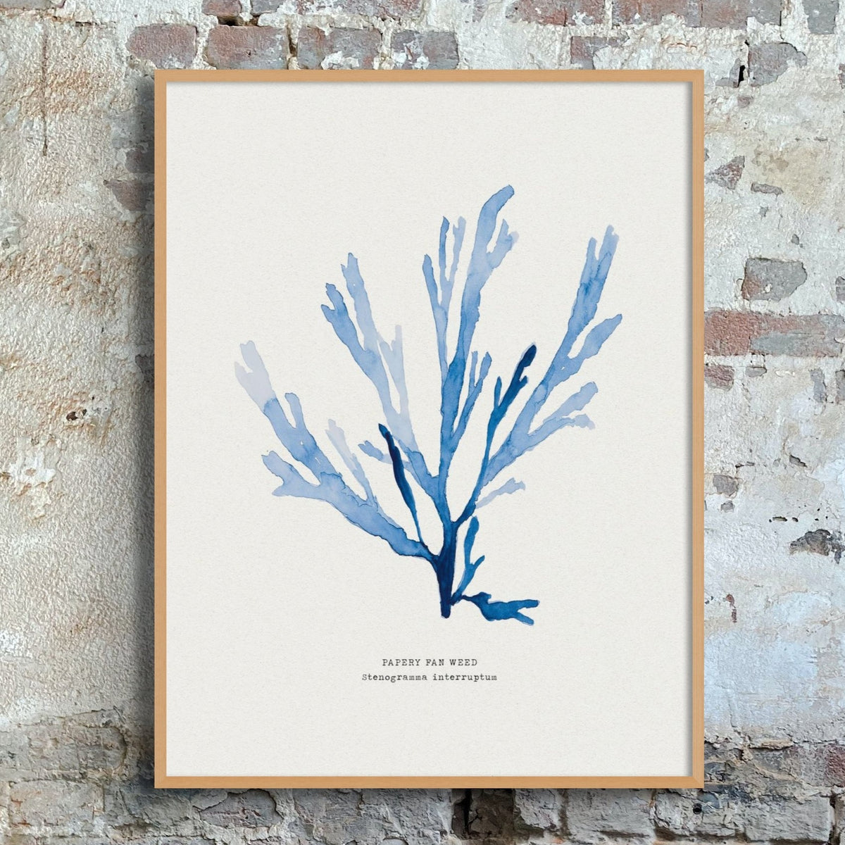 Set of 3 Indigo Seaweed Paintings - Unframed Beach House Art set of blue abstract line art prints