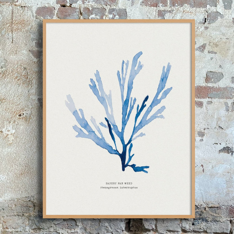 Set of 3 Indigo Seaweed Paintings - Unframed Beach House Art set of blue abstract line art prints