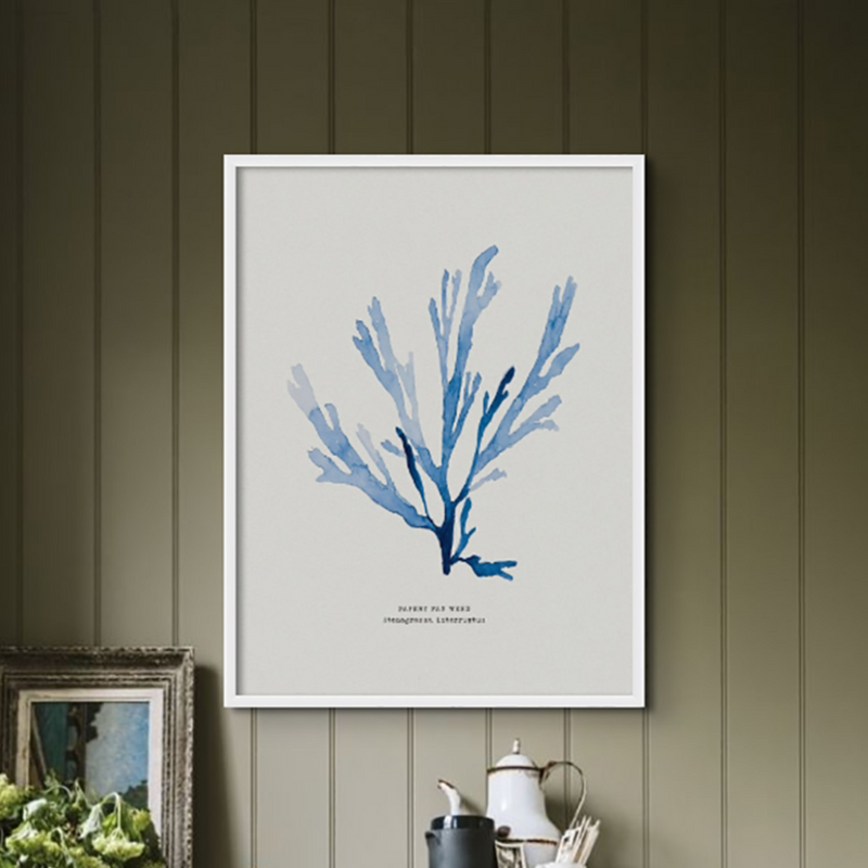 Indigo Seaweed Print | Seaweed Art (Papery Fan Weed) - Unframed