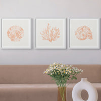 Peach Coral and Shell Art Prints