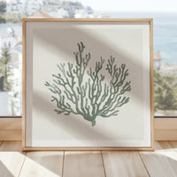 Set of Three Sage Green Coral and Shell Art Prints  - Framed