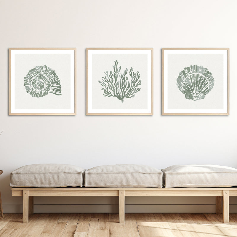 Set of Three Sage Green Coral and Shell Art Prints  - Unframed