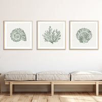 Set of Three Sage Green Coral and Shell Art Prints  - Unframed