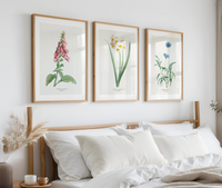 set of vintage botanical art prints on wall above bed - vintage flower prints