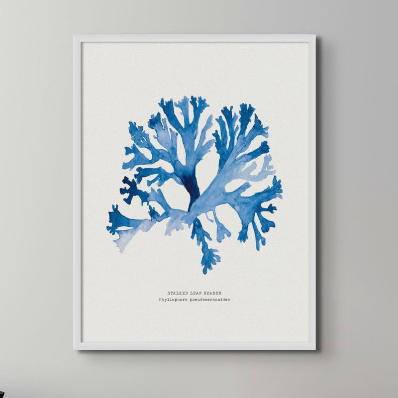 Set of 3 Indigo Seaweed Paintings - Unframed Beach House Art set of blue abstract line art prints