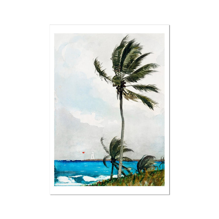 Palm Tree Painting | Vintage Watercolour Beach Wall Art Print - Unframed Art Print