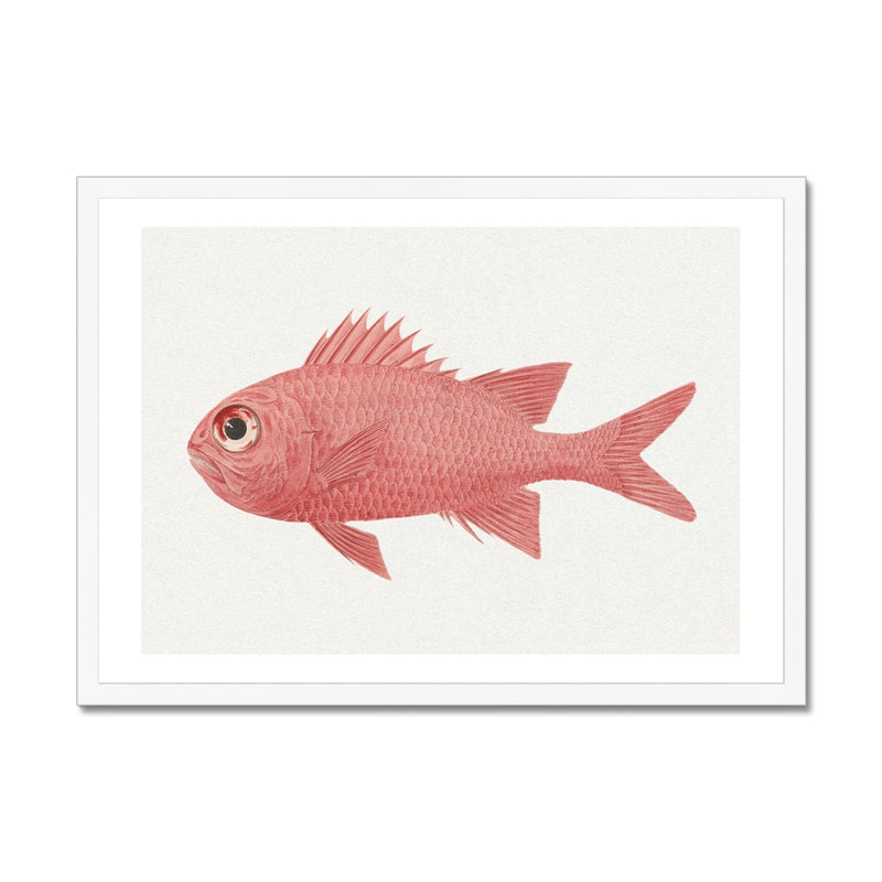 Vintage Fish Painting No. 3 | Fish Wall Art  - Framed