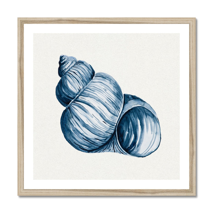 Indigo Watercolour Shell Painting | Shell Art Print - Framed Wall Art