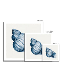 Indigo Watercolour Shell Painting | Shell Art Print - Unframed Wall Art