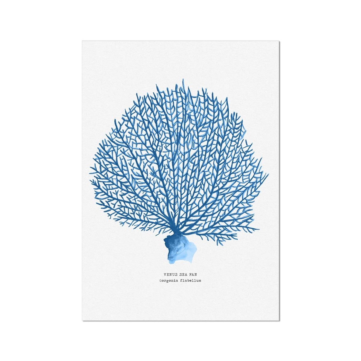 Coral Print | Marine Blue Coral Painting No 2 - Unframed