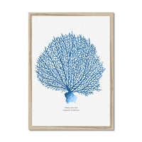 Coral Print | Blue Coral Painting - Framed Coral Print