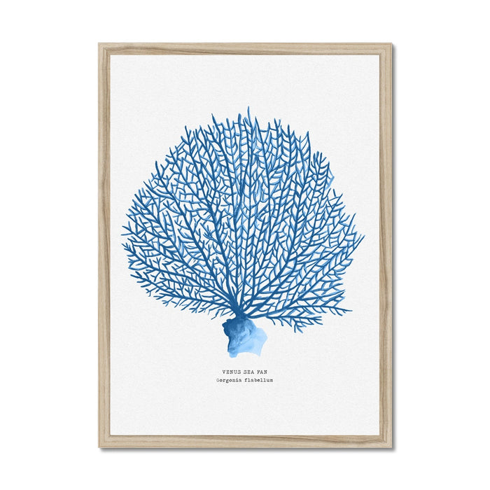 Coral Print | Blue Coral Painting - Framed Coral Print