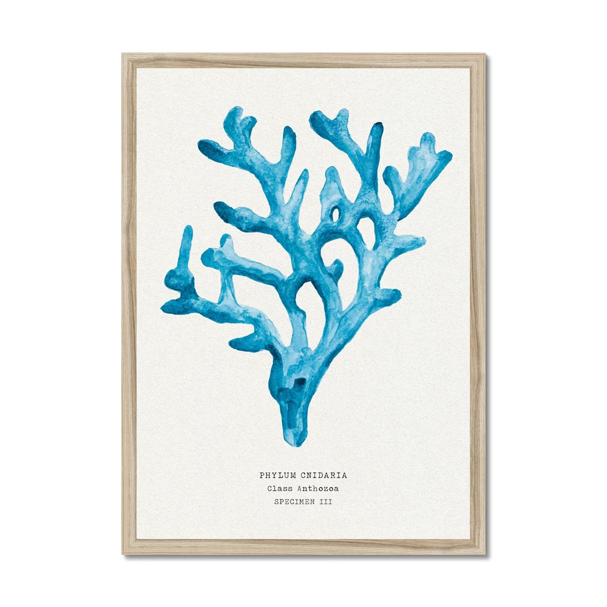 Coral Wall Art | Sea Blue Art Print | Specimen 3 - Framed Beach House Art