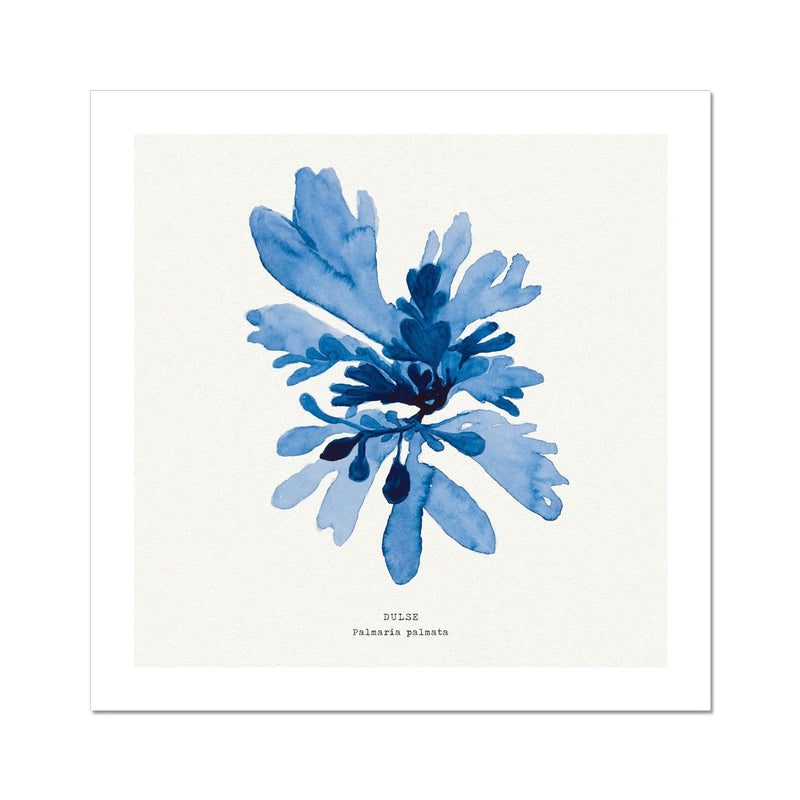 Indigo Dulse Special - Unframed