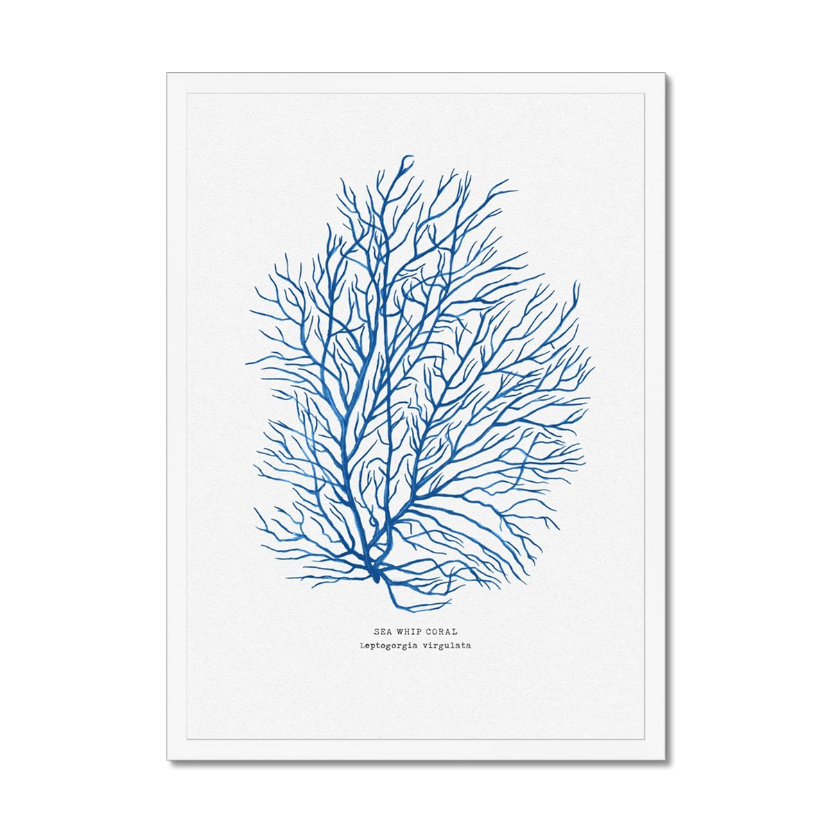 Coral Print | Marine Blue Coral Painting No 3 - Framed