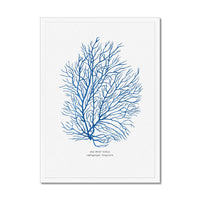 Coral Print | Marine Blue Coral Painting No 3 - Framed