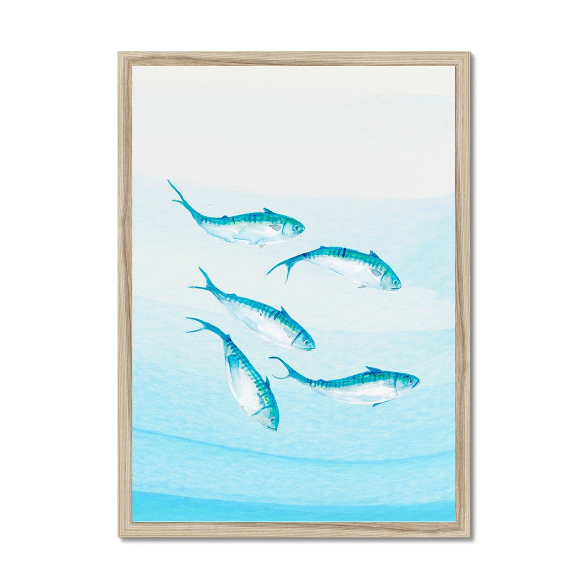 Mackerel Shoal 3 | Fish Wall Art Print - Framed