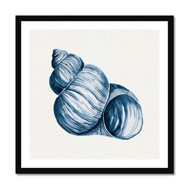 Indigo Watercolour Shell Painting | Shell Art Print - Framed Wall Art