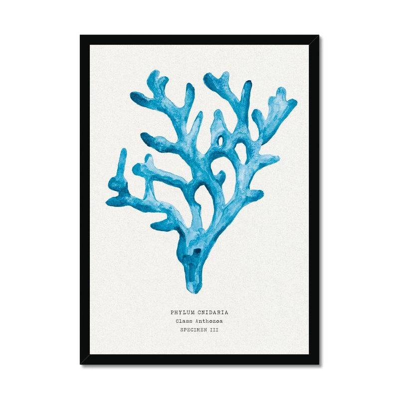 Coral Wall Art | Sea Blue Art Print | Specimen 3 - Framed Beach House Art