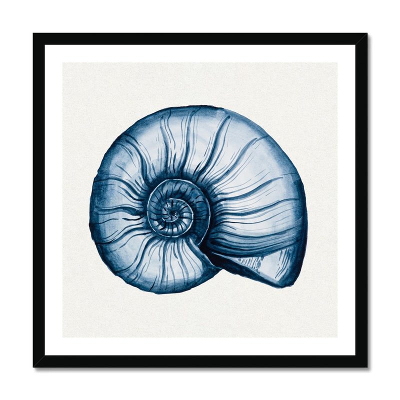 Indigo Watercolour Nautilus Shell Painting | Shell Art - Framed Wall Art