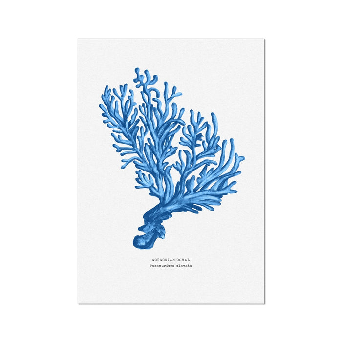 Coral Print | Marine Blue Coral No 5 - Unframed