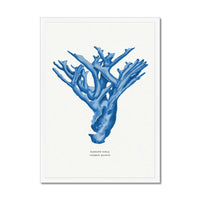 Coral Print | Marine Blue Coral Painting No 4 - Framed