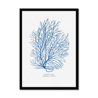 Coral Print | Marine Blue Coral Painting No 3 - Framed